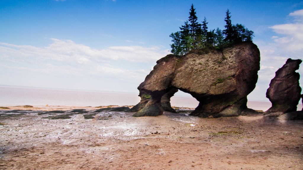 Parc national Fundy